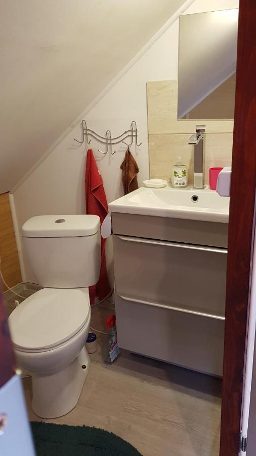 Turystyczny Apartament Na Poddaszu Skoczów Esterno foto