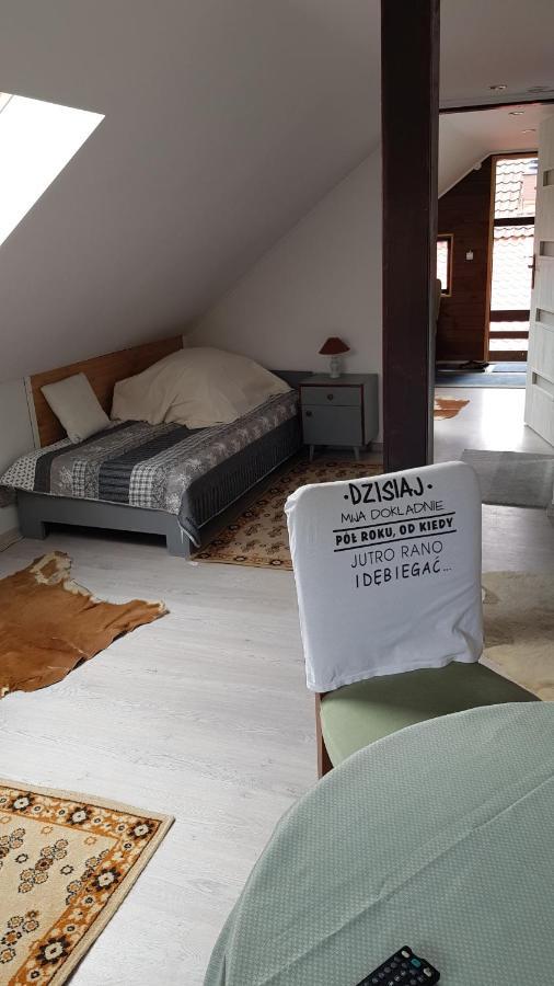 Turystyczny Apartament Na Poddaszu Skoczów Esterno foto