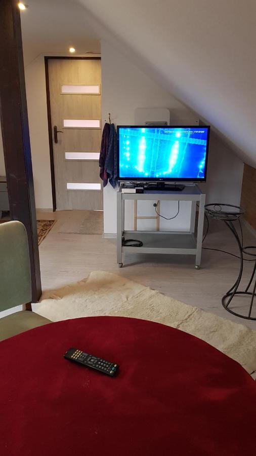 Turystyczny Apartament Na Poddaszu Skoczów Esterno foto